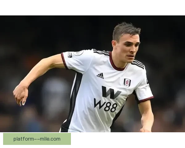 拜仁慕尼黑正式签下富勒姆中场帕利尼亚增强中场实力